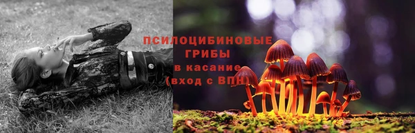 крисы Лиски