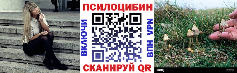 Купить  Пермь  Галлюциногенные грибы прущие грибы 